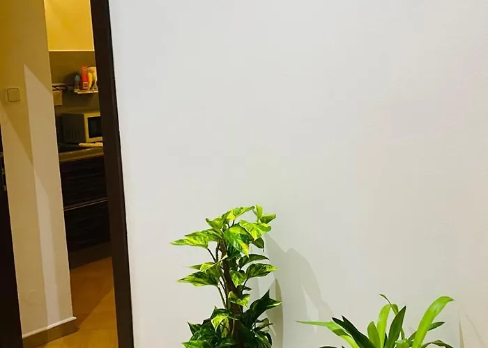 Apartament In Square 2