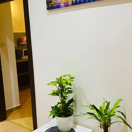 Apartment In Square 2
